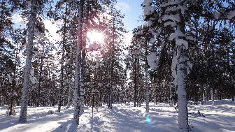 2013-03-11 Pallas-Yllastunturi 005